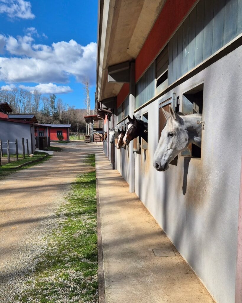 Centro ippico a Viggiù 
